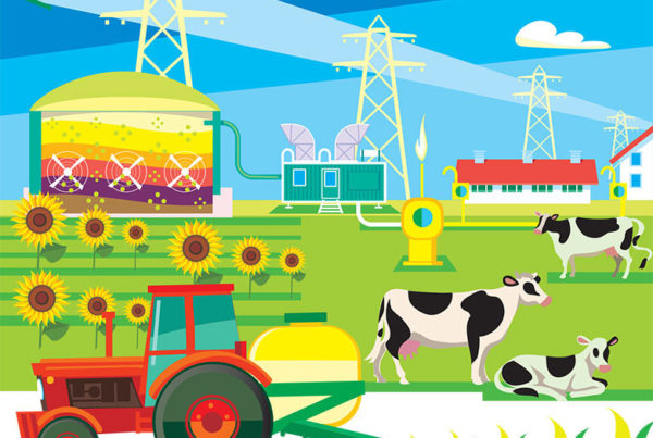 Zorays-Bio-gas-Technology