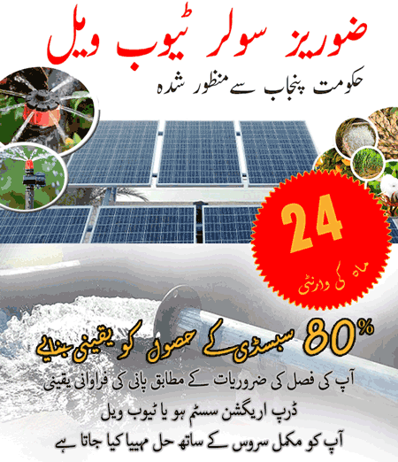 Zorays-Solar-Agricultural-Subsidized-Solutions
